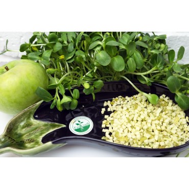 Сушені яблука кубика...